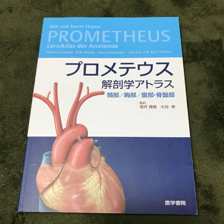 プロメテウス解剖学アトラス 頸部/胸部/腹部・骨盤部 Amazon.co.jp: プロメテウス解剖学アトラス 頸部/胸部/腹部